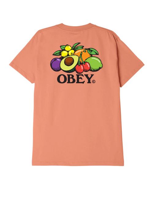 Obey OBEY BOWL OF FRUIT T-SHIRT citrus