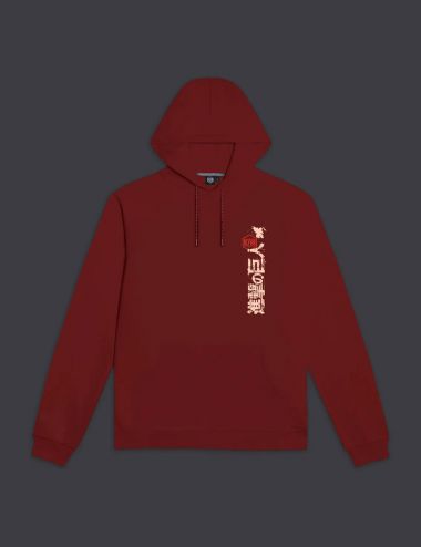 AOT hoodie Red