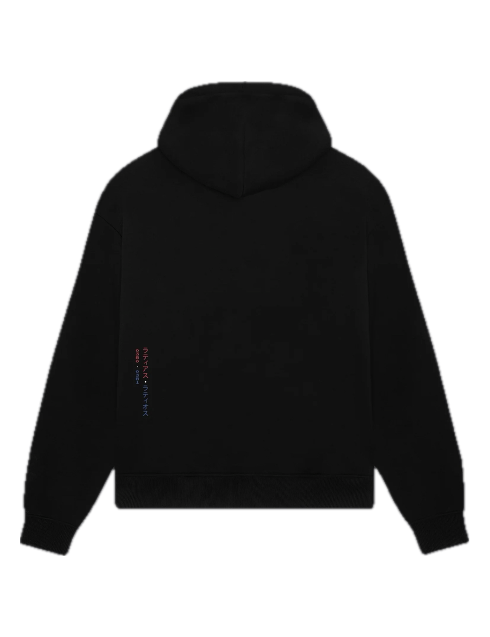 Dolly Noire LATIOS E LATIAS HOODIE black